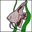 uqezyfoj's Avatar